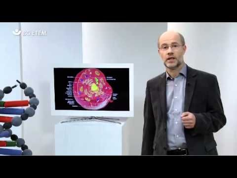 Schulungsfilm: BG ETEM Strahlenwirkung mit Prof. Harald Lesch