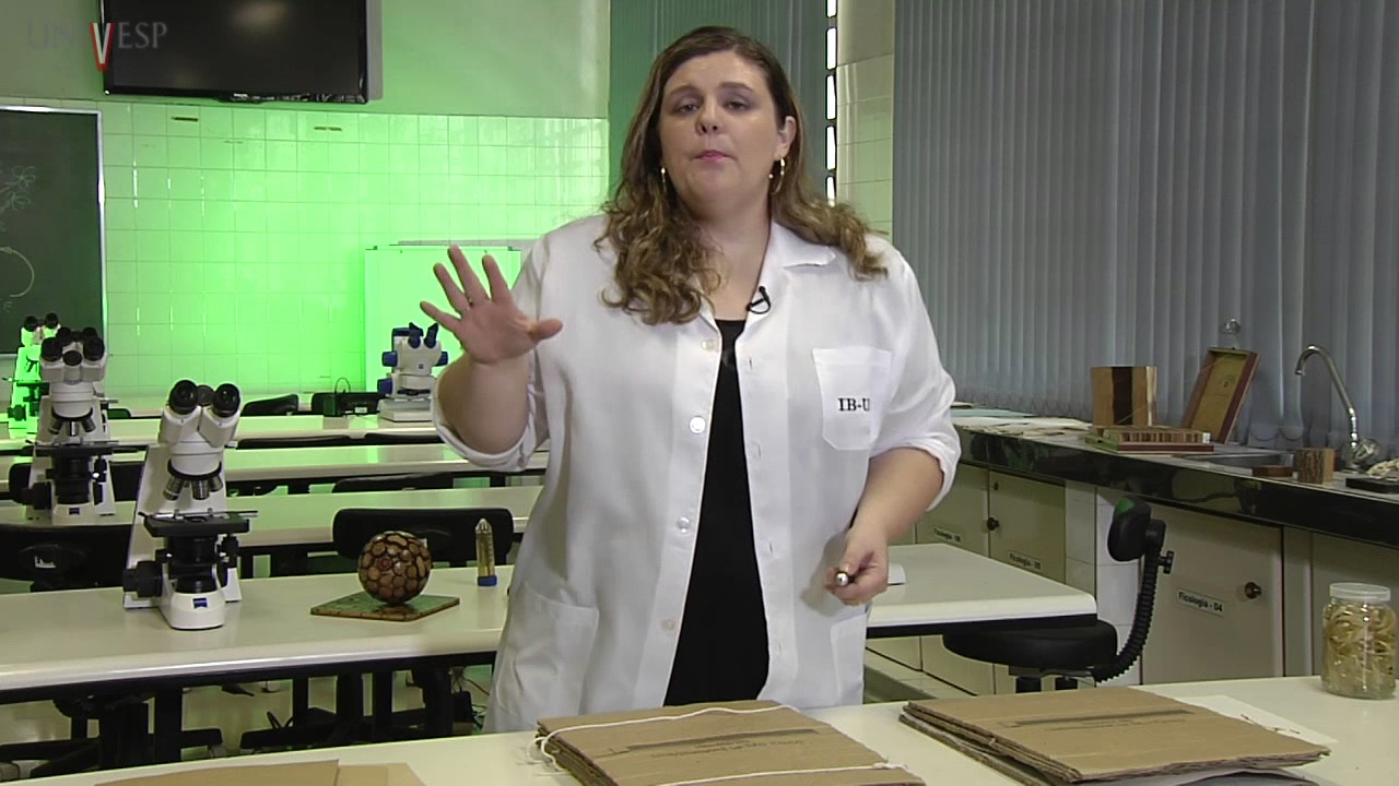 Práticas para o Ensino de Biologia I - Aula 05 - Técnicas para confecção  de coleções botânicas 1