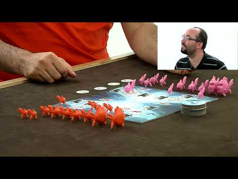 Vidéo Little Big Fish