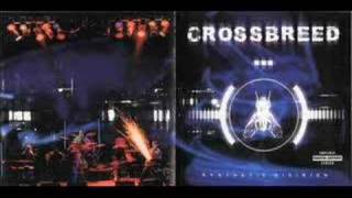 Crossbreed - Breathe