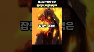 🔥미친 작화🔥사황 해적단 전멸시키는 해군 3대장