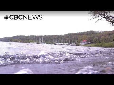 Protecting Pelican Lake from invasive species comes at a price: businesses