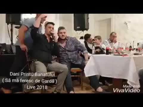 DANI PRINTUL BANATULUI - Sa ma feresc de garda  Live