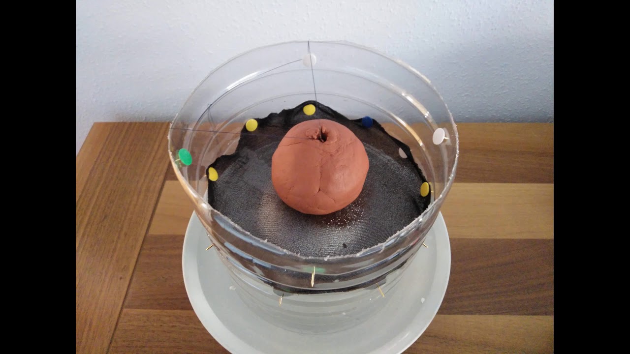 Experiment on the visualization of the electric potential