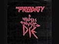 The Prodigy- run with the wolves 