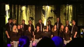 Knauskoret - Hjernen er (Nesten Helt) Alene (DeLillos/Seigmenn cover)