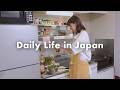Real Life In Japan Celebrating My Cat S 15th Birthday With A Special Homemade Meal Oyakodon
