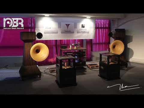 Studio Reference | 24-Bit Hi-Res FLAC Audiophile Experience