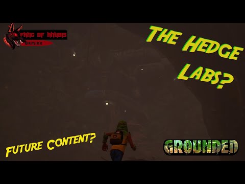 How To Get To The Hedge Labs - Grounded
