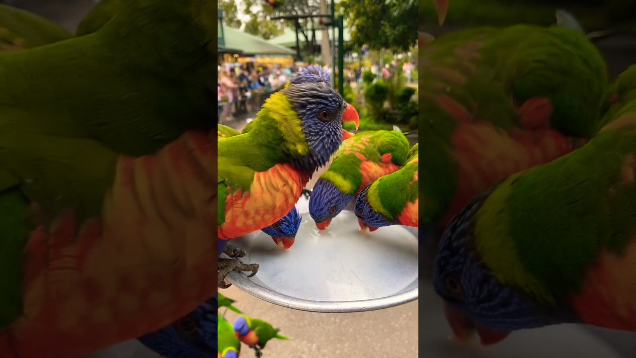 YouTube Short thumbnail