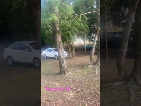 Domingo Família Teutônia