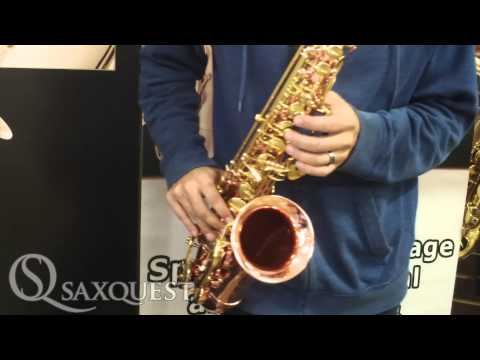 Saxquest! Ben Reece Plays Buffet Senzo Alto