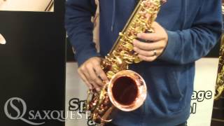 Video thumbnail for Saxquest! Ben Reece Plays Buffet Senzo Alto by SaxquestShop