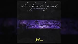 Paramaecium - They Thend to Die [ Subtitulos en Español ]