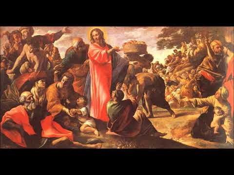 Dominica VI Post Pentecosten - Alleluia - In te Domine