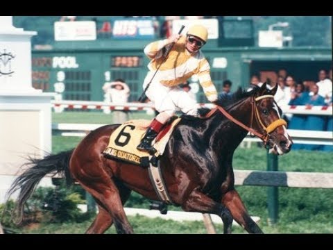 Preakness Stakes (G1)  1996