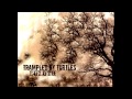 Trampled By Turtles- White Noise