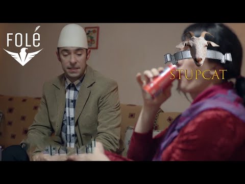 Stupcat 2016 - Sahiti ne aksion