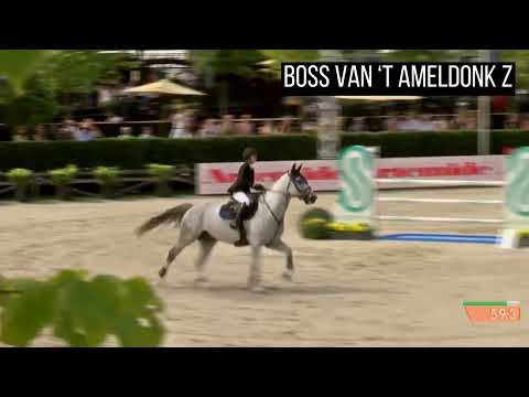 Boss van 't Ameldonk Z - 1.45 level