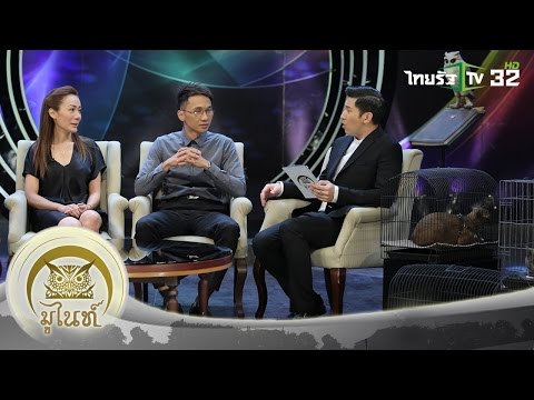 คลิกเพื่อดูคลิปวิดีโอ