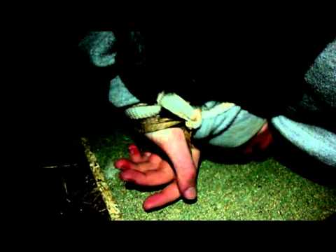 Kiera McNulty Horror trailer MS2 Media WJEC 2012