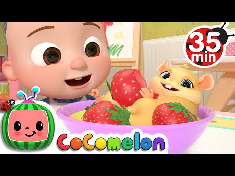 Class Pet Sleepover + More Nursery Rhymes & Kids Songs - CoComelon