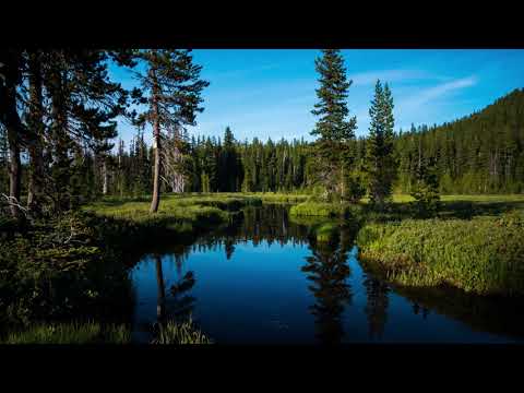 Se.Ra.Phic - Call To Light (Dalmoori Remix)