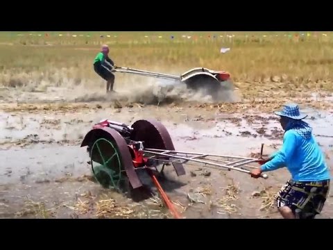 Przyjemne z pożytecznym 