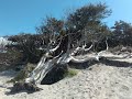 channel