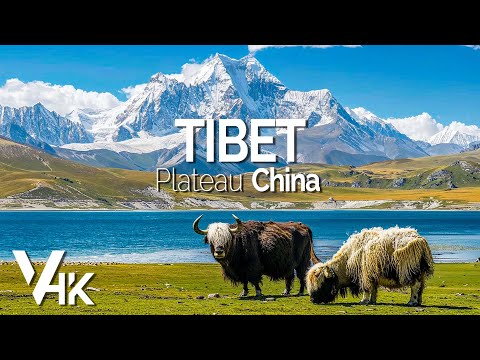 Tibet 4K Scenic Footage - Soothing Nature Film with Relaxing Piano Music