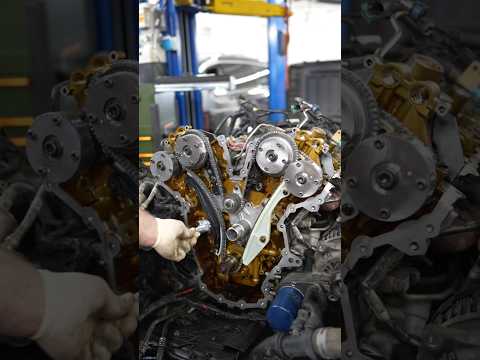 Famous F-150 EcoBoost timing chain startup rattle #ecoboost #ford #f150 #timingchain #fordraptor