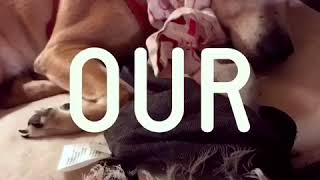 Download lagu Pepe mp3