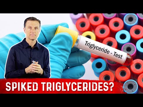 Why Would Triglycerides Elevate on Keto? Causes of High Triglycerides on Keto – Dr.Berg