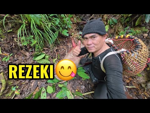 Rezeki Yang Tak Di Duga❓ Kita Dapat B4B1 Syukur 🙏🙏🙏