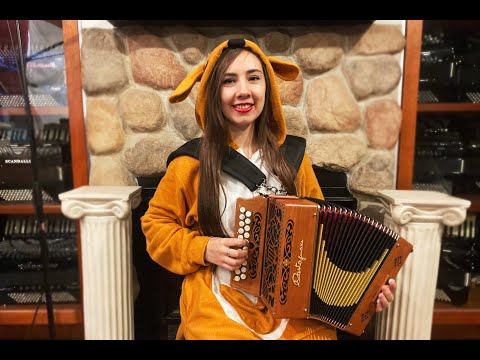 CASTNIKGC8CW - Cherry Castagnari Niko Diatonic Button Accordion GC MM 21 8 $2499