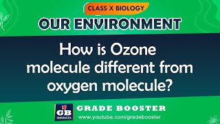Our Environment Important Questions-Q1 | CBSE  10th Science (Biology) Explanation | NCERT class 10