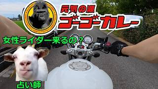 VTR250でゴーゴーカレーへ行くだけ！！【猫ミーム5％】
