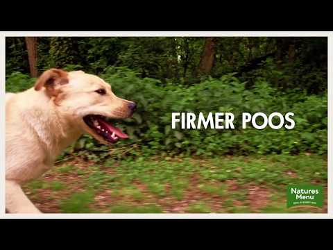 The Benefits of Feeding Raw Dog Food in 20 Seconds!