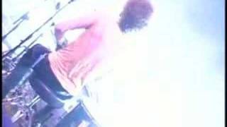 The Dandy Warhols-Not If You Were The Last Junkie On Earth (Live)