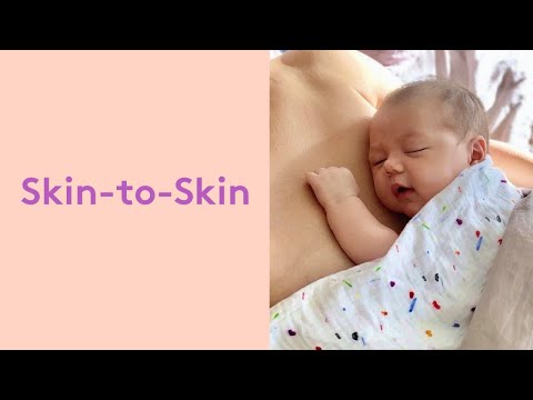 The Importance of Skin-to-Skin | Lovevery