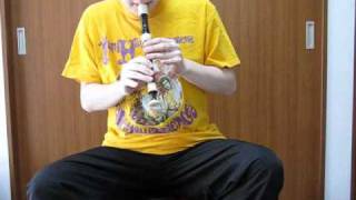 【リコーダー】Larry CarltonのRio Sambaを吹いてみた