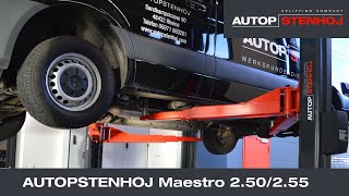 Maestro 2.55(1)