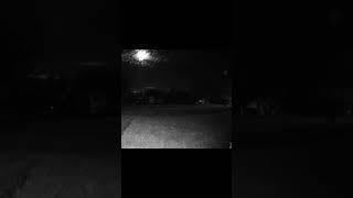 Big Black Bear Sniffs Towards My House