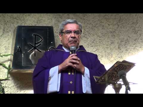 Homilía 061211. Una voz grita en el desierto.