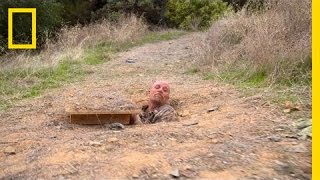 Spider Hole | Doomsday Preppers