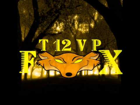 Rudimental vs Martin Garrix - Feel The Love Animals (T12VP F0X Mash-Up)