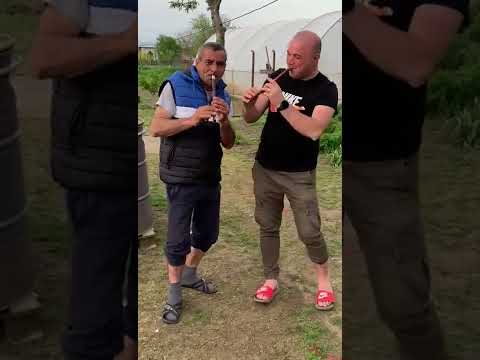 Nini din Brastavatu rupe fluierul/partea a 3 a 😁