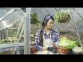 Balance serre 367x244x229 cm vert | video 1