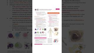 simple changes that made my notes ACTUALLY useful 🤓📚 #study #studyhacks #productivity #notetaking