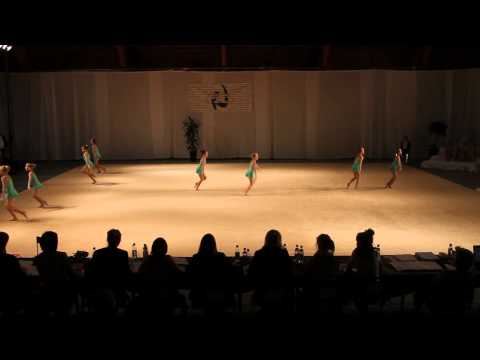 FM 2011 Pinkur HF a - nr. 2